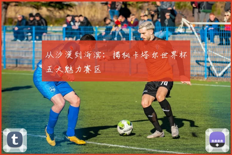 从沙漠到海滨：揭秘卡塔尔世界杯五大魅力赛区